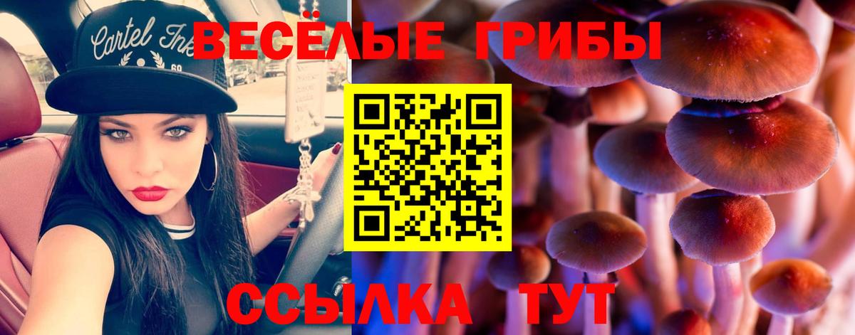 Галлюциногенные грибы мицелий Чайковский