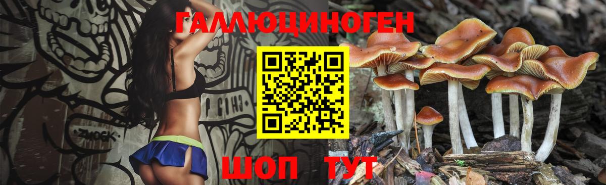 Галлюциногенные грибы мицелий  Вход с VPN  Галлюциногенные грибы Cubensis  Чайковский 